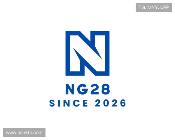 认识NG28